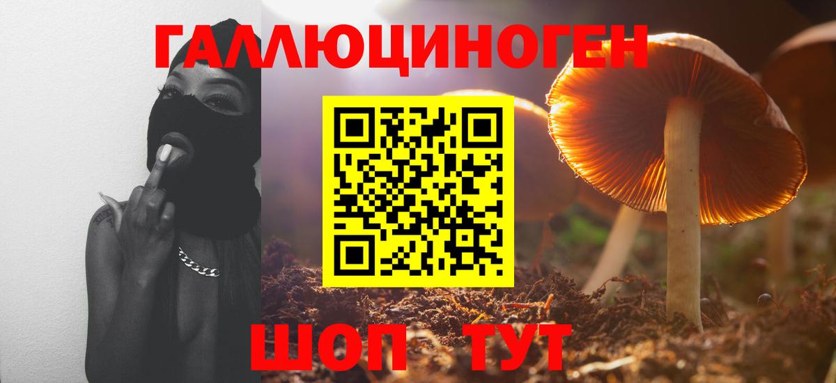 Псилоцибиновые грибы мухоморы Берёзовский